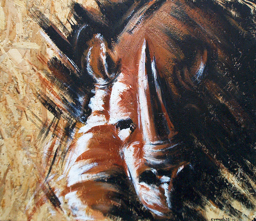 Rhinocéros-Illustration animalière - Dominique Evangelisti