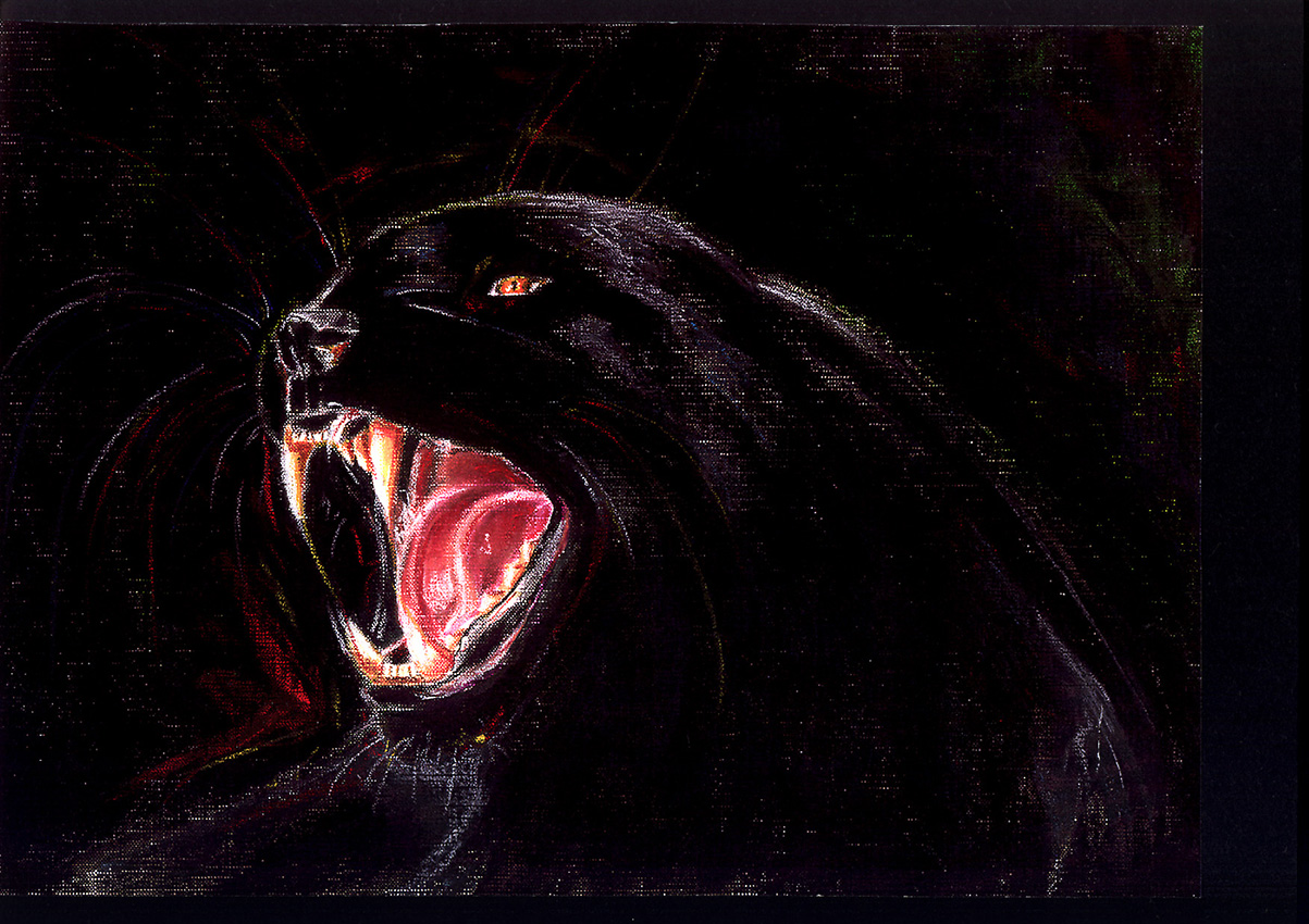 Panthère noire-Illustration animalière - Dominique Evangelisti