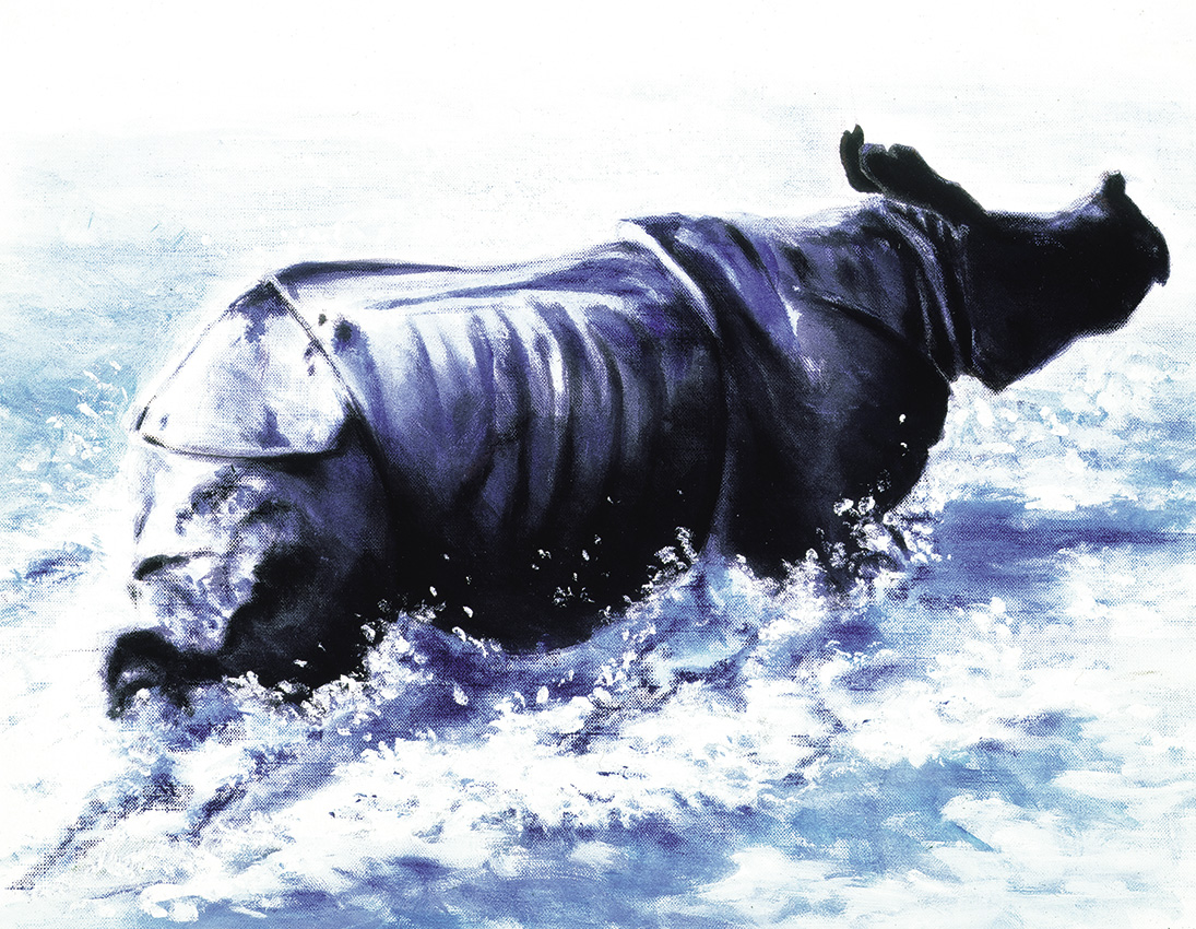Rhinocéros-illustration-animalière - Dominique Evangelisti